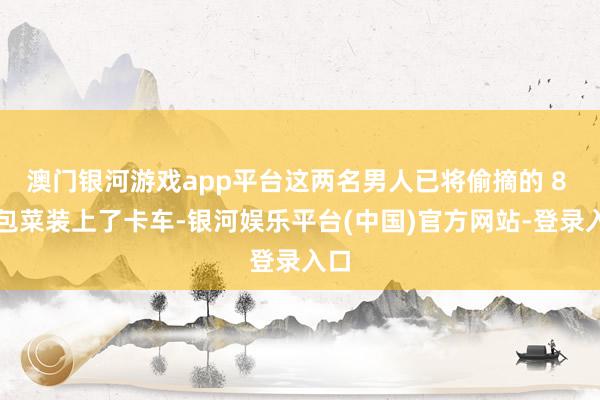 澳门银河游戏app平台这两名男人已将偷摘的 8 颗包菜装上了卡车-银河娱乐平台(中国)官方网站-登录入口