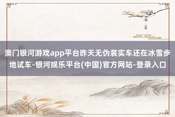 澳门银河游戏app平台昨天无伪装实车还在冰雪步地试车-银河娱乐平台(中国)官方网站-登录入口