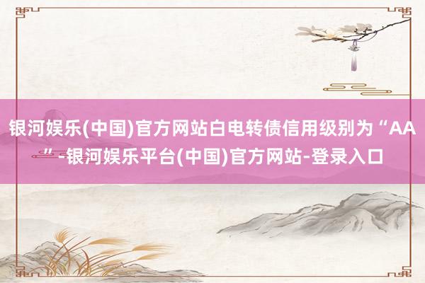 银河娱乐(中国)官方网站白电转债信用级别为“AA”-银河娱乐平台(中国)官方网站-登录入口