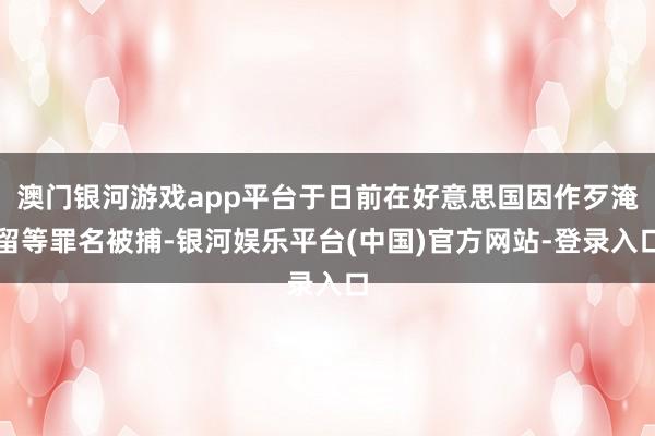 澳门银河游戏app平台于日前在好意思国因作歹淹留等罪名被捕-银河娱乐平台(中国)官方网站-登录入口